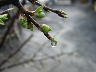 Similar image 22187759