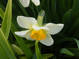 Similar image 22187763