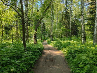 Similar image 22187073