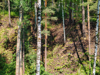 Similar image 22187074