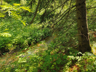 Similar image 22187075