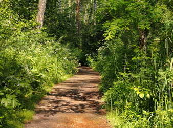 Similar image 22187076