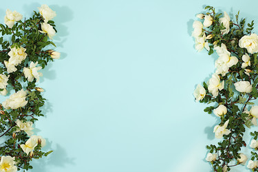 Similar image 22189358