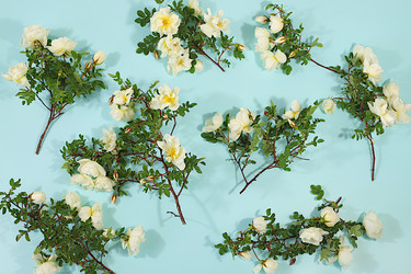 Similar image 22189359