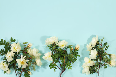 Similar image 22189360