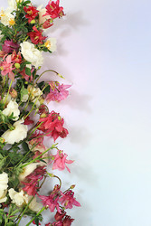 Similar image 22189362