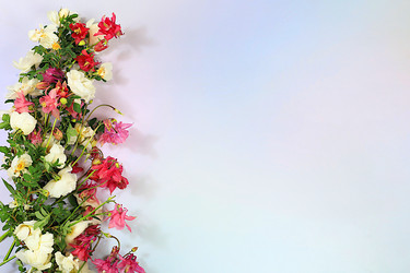 Similar image 22189363