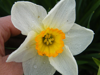 Similar image 22187840