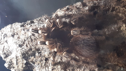 Similar image 22187842