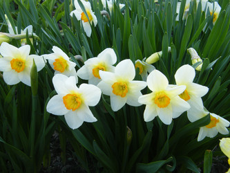 Similar image 22187843