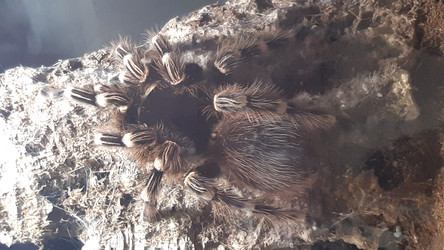 Similar image 22187844