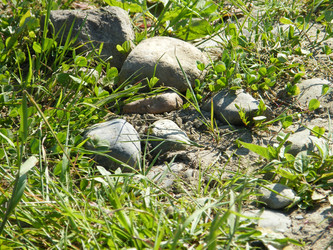 Similar image 22187847