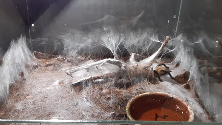 Similar image 22187848