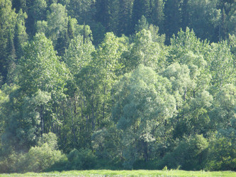 Similar image 22187849