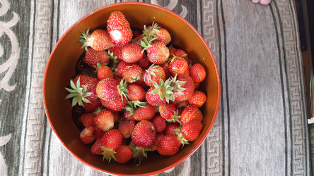 Similar image 22187770