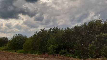 Similar image 22187774