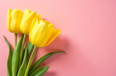 Similar image 22191471