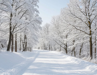 Similar image 22187507