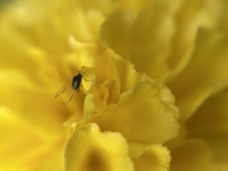 Similar image 22187347