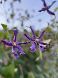 Similar image 22187348