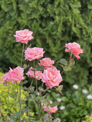 Similar image 22187349