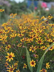 Similar image 22187350