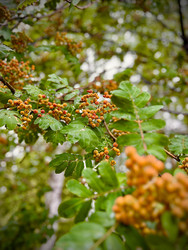 Similar image 22187351