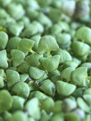 Similar image 22189371