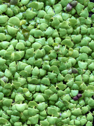 Similar image 22189372