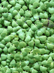 Similar image 22189373