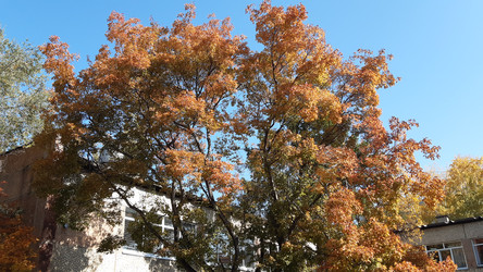 Similar image 22187856