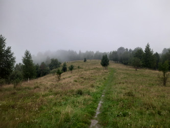 Similar image 22187857