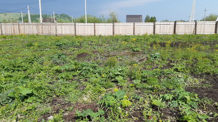 Similar image 22187701