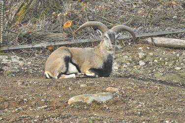 Similar image 22189915