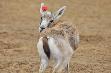 Similar image 22189916