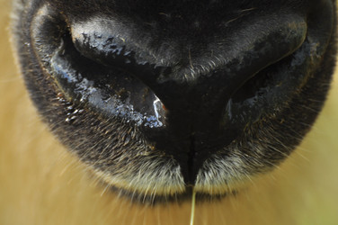 Similar image 22189917