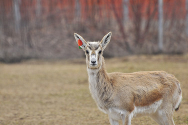 Similar image 22189918