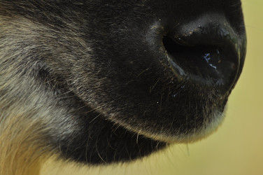 Similar image 22189919