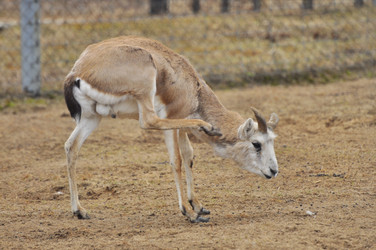 Similar image 22189920