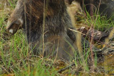 Similar image 22189921