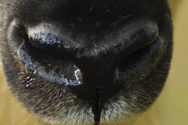 Similar image 22189922