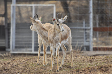 Similar image 22189923