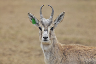 Similar image 22189924