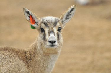 Similar image 22189925