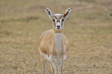 Similar image 22189926