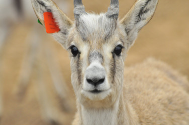 Similar image 22189928