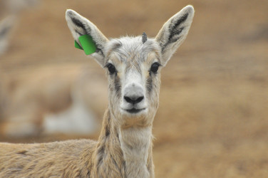 Similar image 22189929