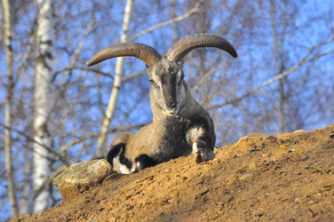 Similar image 22189930