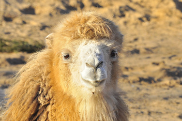 Similar image 22189931