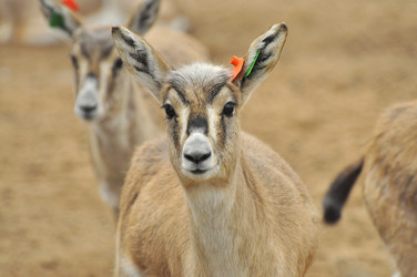 Similar image 22189933